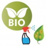 Fungicide biologice