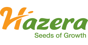 Hazera